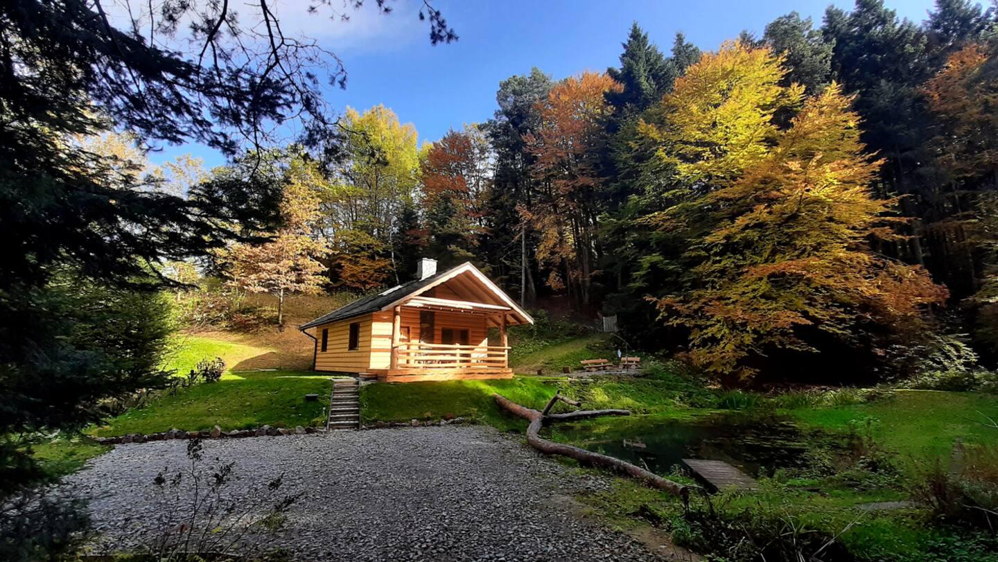 Widok na Domek Nad Stawem